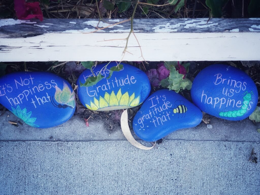 | Chill & Thrive stones with happiness and gratitude words written on them